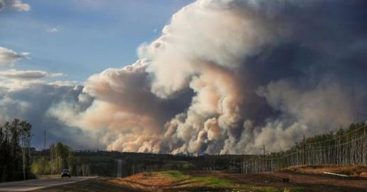 加拿大森林大火迫使三家主要木材商停工