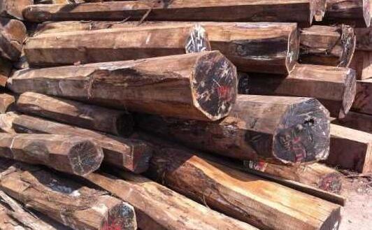 红木禁伐，细数哪些木材会获益？