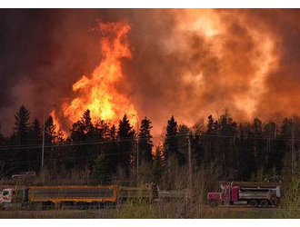 大祸中的小福 木材价格在加拿大BC省大火后上涨