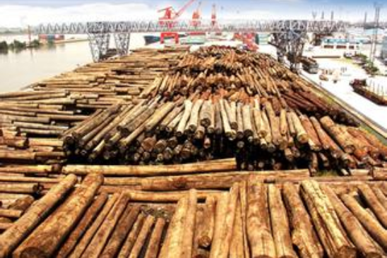 天津口岸上半年木材进口量呈下降态势
