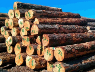 7月8日-7月14日木材市场出货量与价格变动分析