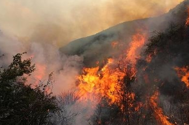 受美加森林火灾影响，北美材短暂全线飙涨，更重要的是一个重大突变正在酝酿之中