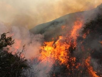 受美加森林火灾影响，北美材短暂全线飙涨，更重要的是一个重大突变正在酝酿之中