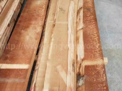 木业供应德国进口榉木毛边板材 60mm优质家居材 建筑材图1