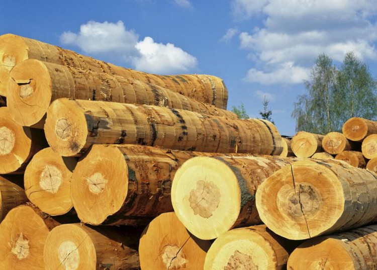 市场需求不足 江苏常熟口岸木材进口下降