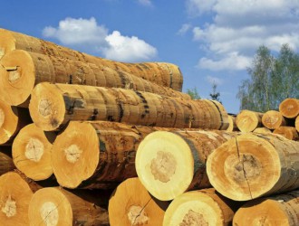 市场需求不足 江苏常熟口岸木材进口下降