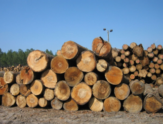 2017年上半年非洲材进口急剧下滑_与木材禁令脱不开关系
