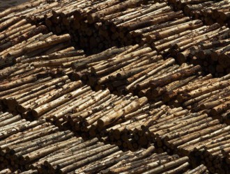 新西兰原木出口为锯材之三倍