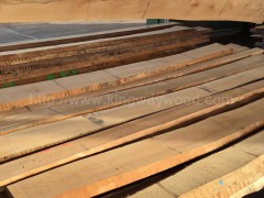 木业供应限时促销进口德国榉木毛边板 实木板 地板料图2