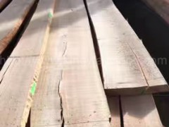 木业供应限时促销进口德国榉木毛边板 实木板 地板料图3