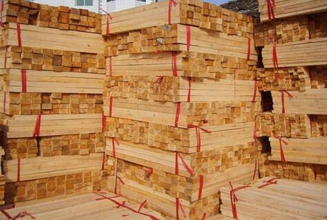 新疆阿拉山口市：开展木材经营公司的调查工作