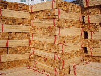 新疆阿拉山口市：开展对木材经营公司的调查工作