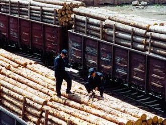 绥芬河检验检疫局多措施加强进口木材疫情监管