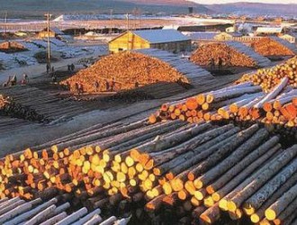 预计未来中国木材市场缺口仍然较大