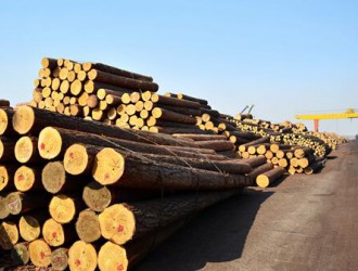 满洲里检验检疫局提升进境木材有害生物“检出率”