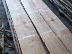 供应欧洲榉木毛边A级AB级优质地板料楼梯材家具装饰材图2