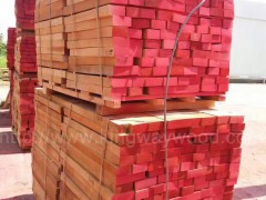 优质欧洲进口榉木直边板材AB 全实木板材 玩具工艺品制作好料图3