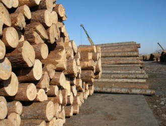 贵阳市启动全市木材经营加工企业安全生产专项督查