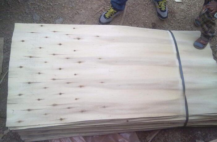 杨木单板