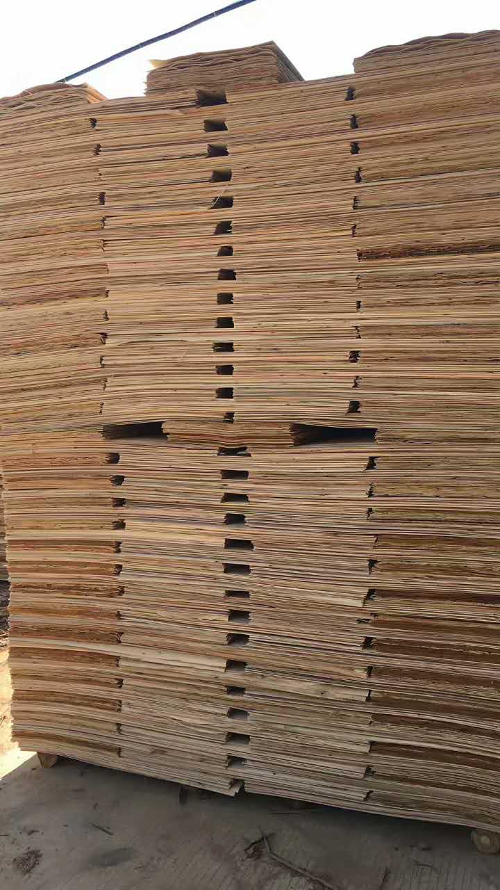 桉木板皮
