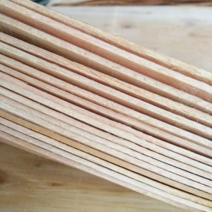 福州信和九鼎桉木单板供应