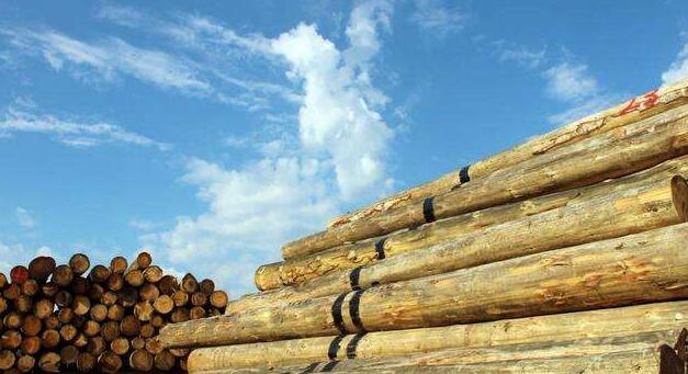 上半年广西河池完成木材产量138.89万立方米