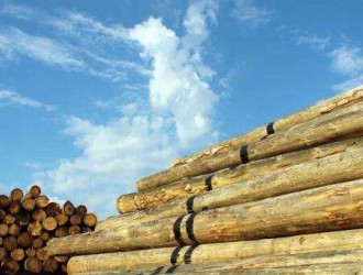 上半年广西河池完成木材产量138.89万立方米