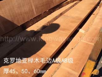 金威木业最新供应榉木板材和白橡原木，8月砸单有赠送！