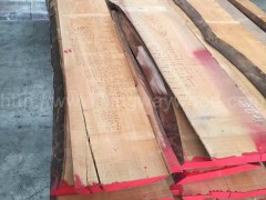 木业供应欧洲进口榉木毛边板AB级 家居板 优质进口木料图1