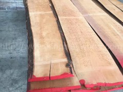 木业供应欧洲进口榉木毛边板AB级 家居板 优质进口木料图2