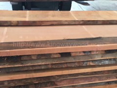 木业供应欧洲进口榉木毛边板AB级 家居板 优质进口木料图3