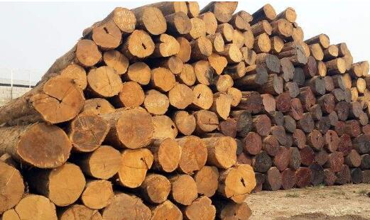木材市场分析 淡季氛围持续深入 代表品价格表现低迷