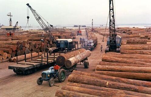 港口木材到货量减少,木材或迎来新一轮涨价