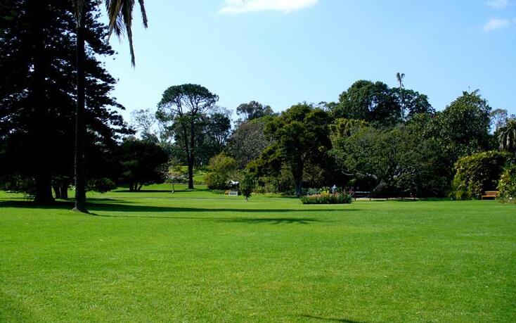 总目标是为动植物创造良好的生存环境,创造园林式的绿化空间