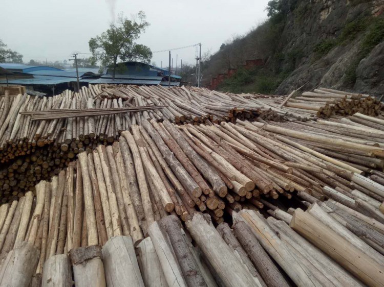 融安县鑫利达木业有限公司安全无毒“生态板”生产工艺流程