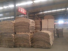出售大量桦木单板 面皮图2
