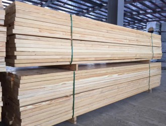 中俄木材与木制品贸易投资高峰论坛在二连浩特召开