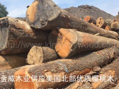 木业供应美国进口樱桃原木 北部原木木质家居材 进口原木
