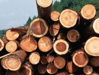 未来五到六年内南非可能出现木材短缺