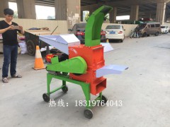 牛羊畜养干湿铡草饲料粉碎皇竹草多功能玉米棒玉米玉米秆揉丝机图2