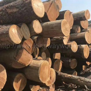 木业供应大量货源 美国樱桃木原木 实木 高档家具进口材