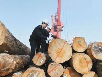 满洲里检验检疫局在进境木材中首次截获多种有害生物