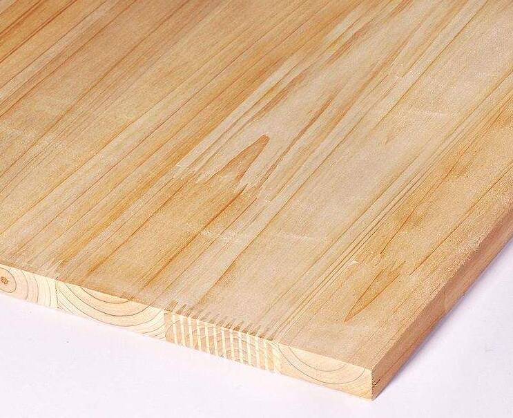 杉木和松木的区别