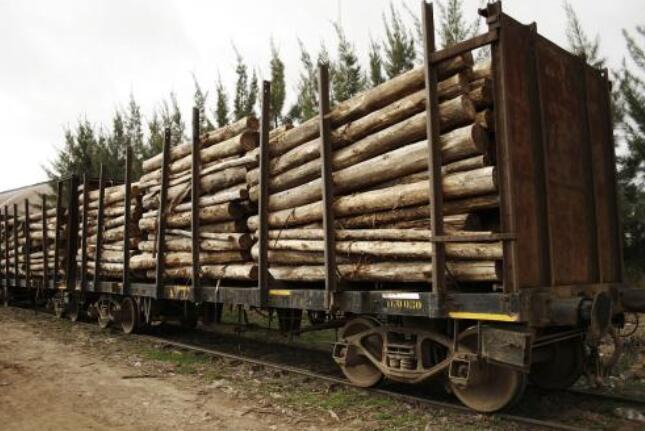 江西省赣州市全南县着力加强木材运输管理工作