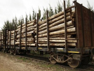 江西省赣州市全南县着力加强木材运输管理工作