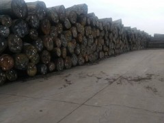 红花梨原木价格 古建寺庙常用木材韵桐木业一手货源低介促销