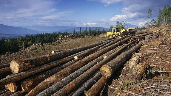 美商务部将在11月14日宣布加拿大木材终裁税率