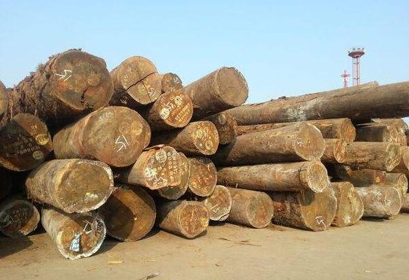 加纳十月开始从利比里亚进口木材
