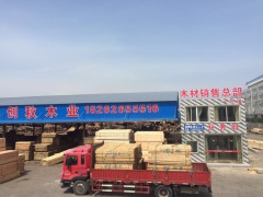 上海建筑材料木方