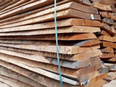 木业最新木材欧洲进口纯实木板 榉木毛边板优质地板家居用材